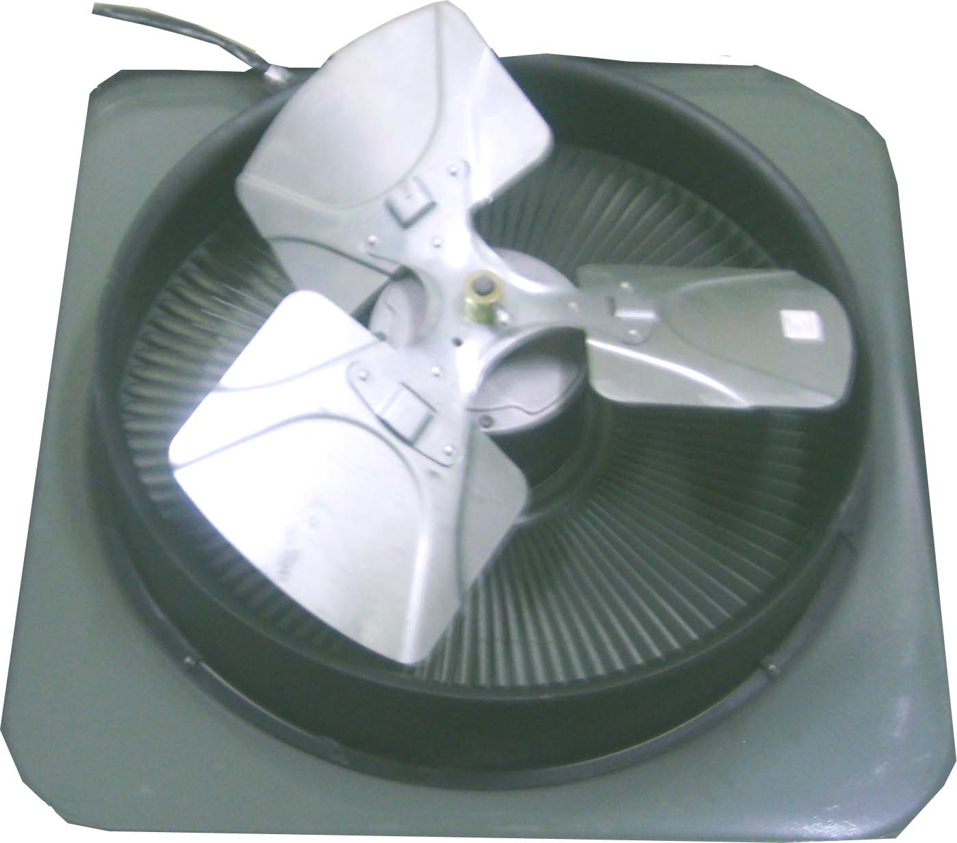 Fan with Motor