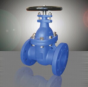 300Z WEDGED GATE VALVE