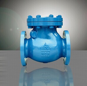 500H Swing Type Check Valve