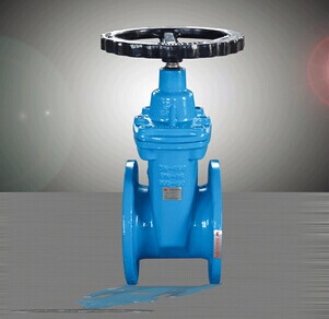 Flexible Sealed Gate Valve