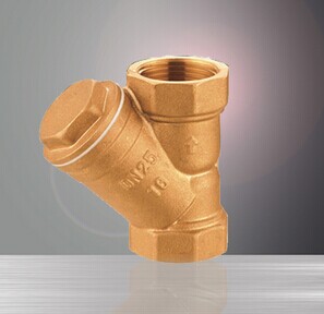 Y Strainer
